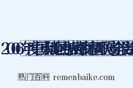 2006年度中国大陆地区电脑病毒疫情和互联网安全报告组词是什么意思的图片